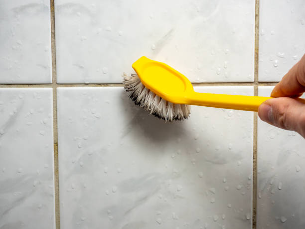 Best Mold Cleaning Services  in Florence, MT